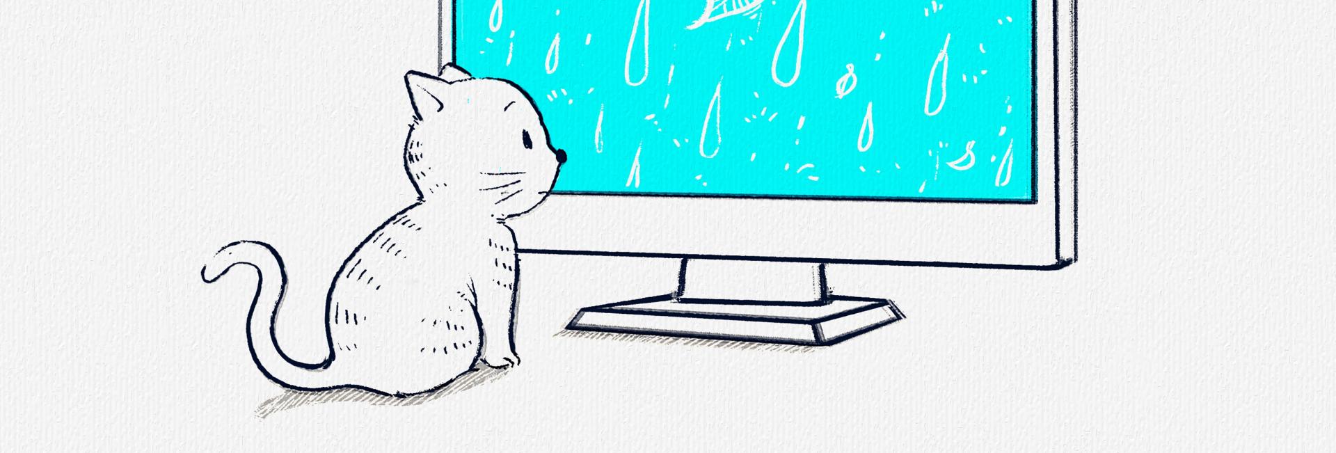 gato mira la lluvia a través de la pantalla