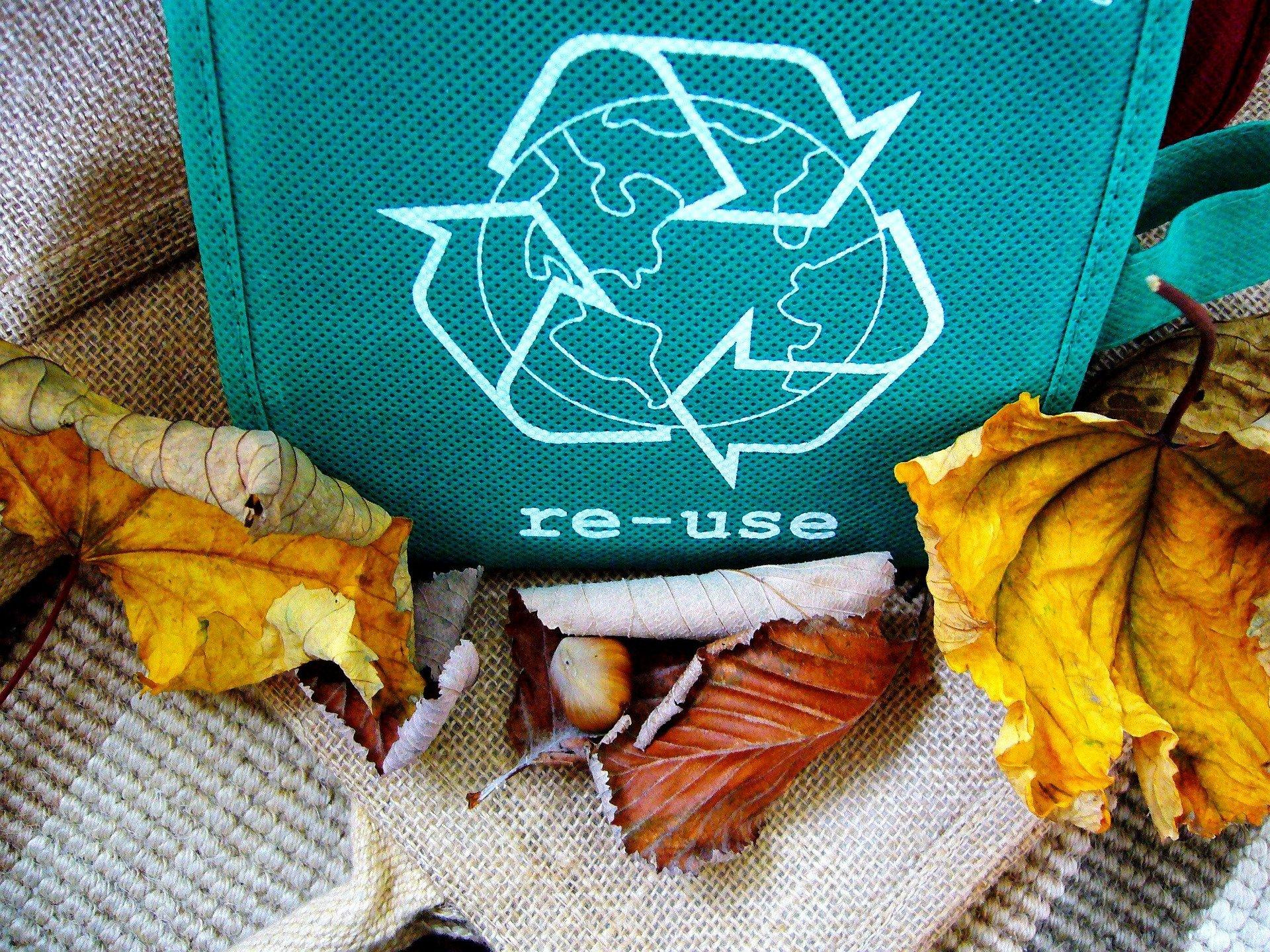 bolsa reutilizable, hojas secas