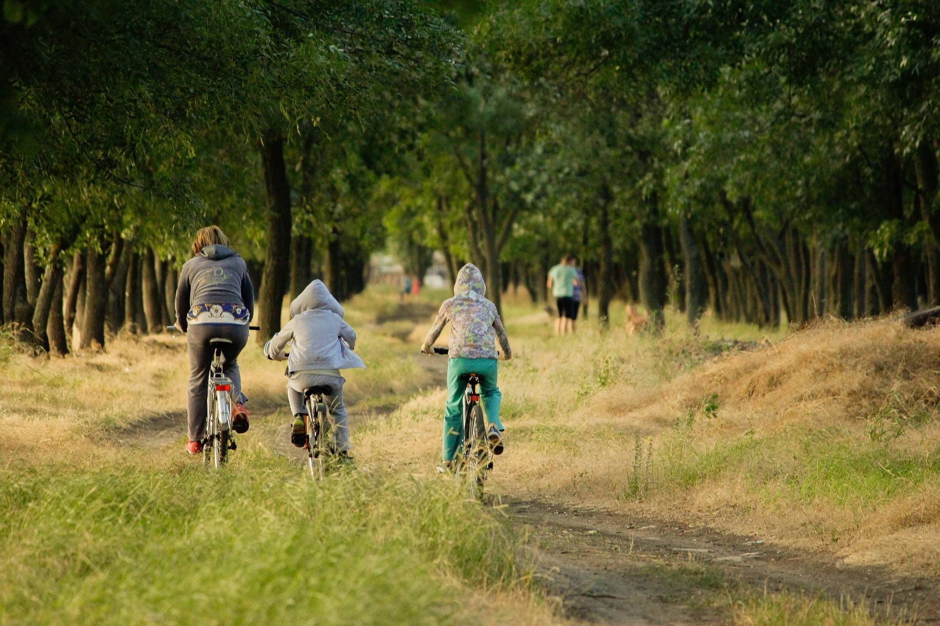 familia en bicicleta por un bosque